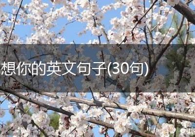 想你的英文句子(30句)