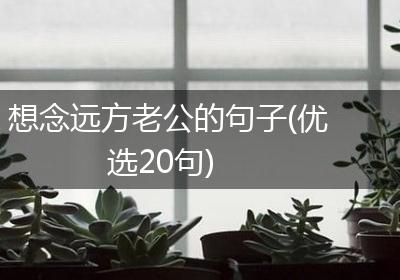想念远方老公的句子(优选20句)