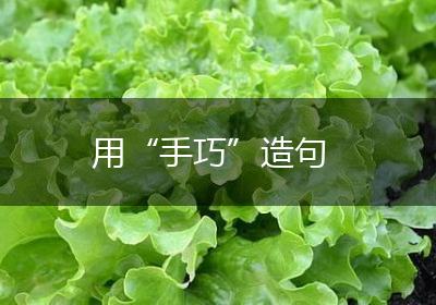 用“手巧”造句