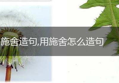 施舍造句,用施舍怎么造句