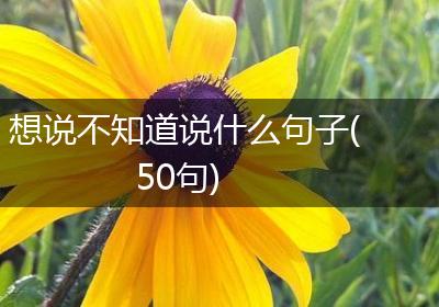 想说不知道说什么句子(50句)