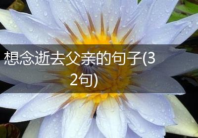 想念逝去父亲的句子(32句)
