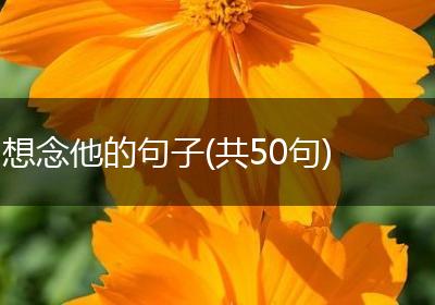 想念他的句子(共50句)