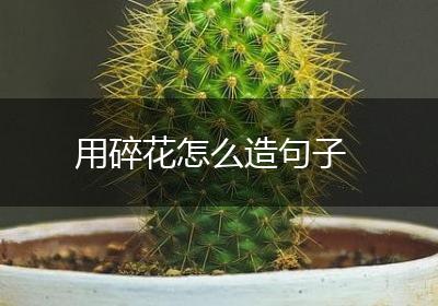 用碎花怎么造句子