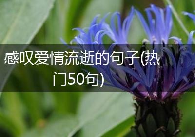 感叹爱情流逝的句子(热门50句)