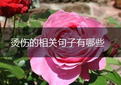 烫伤的相关句子有哪些