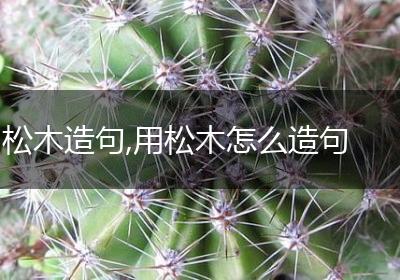 松木造句,用松木怎么造句