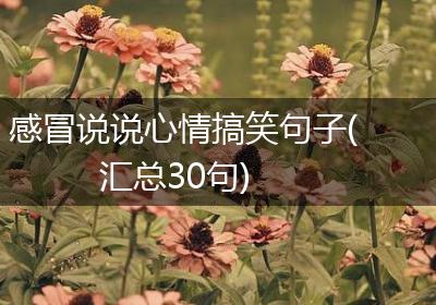 感冒说说心情搞笑句子(汇总30句)
