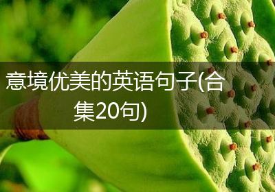 意境优美的英语句子(合集20句)