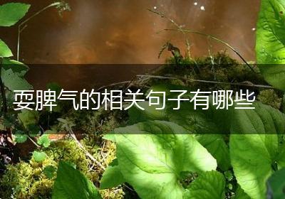 耍脾气的相关句子有哪些