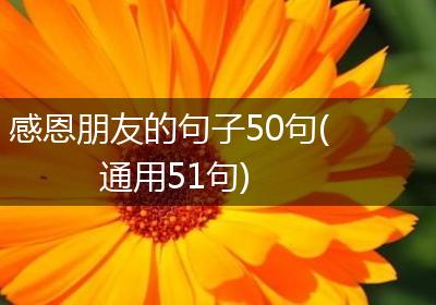 感恩朋友的句子50句(通用51句)