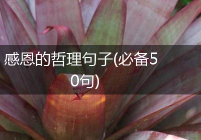 感恩的哲理句子(必备50句)