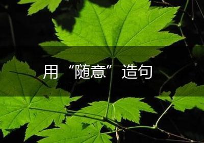 用“随意”造句