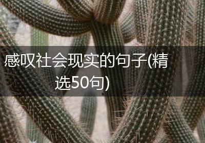 感叹社会现实的句子(精选50句)
