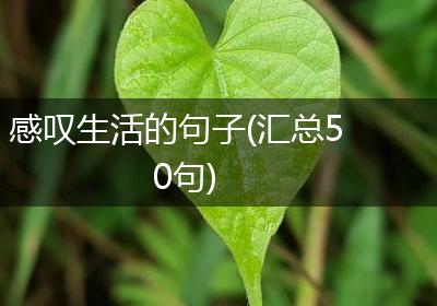 感叹生活的句子(汇总50句)