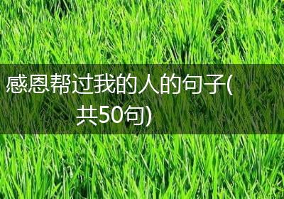 感恩帮过我的人的句子(共50句)