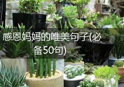 感恩妈妈的唯美句子(必备50句)