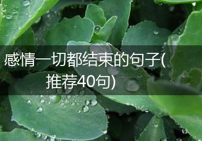 感情一切都结束的句子(推荐40句)