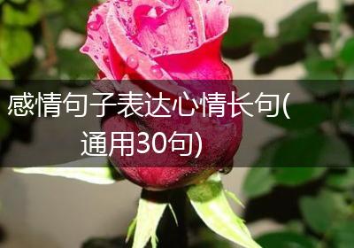 感情句子表达心情长句(通用30句)