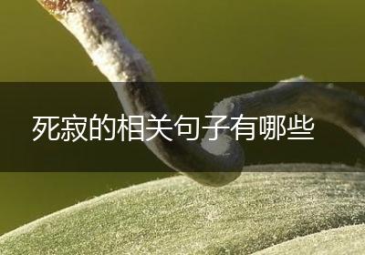 死寂的相关句子有哪些