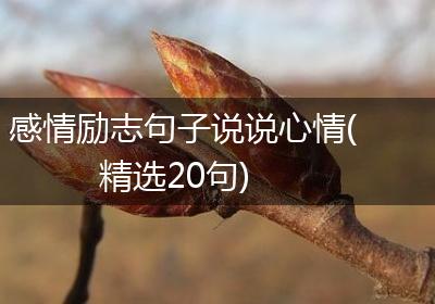 感情励志句子说说心情(精选20句)