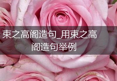 束之高阁造句_用束之高阁造句举例