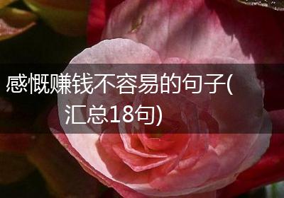 感慨赚钱不容易的句子(汇总18句)
