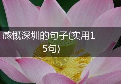 感慨深圳的句子(实用15句)
