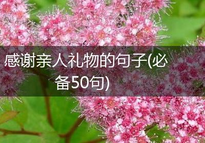 感谢亲人礼物的句子(必备50句)