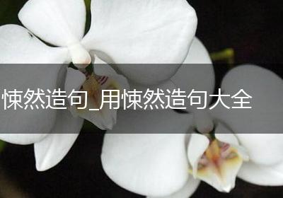 悚然造句_用悚然造句大全