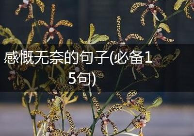 感慨无奈的句子(必备15句)