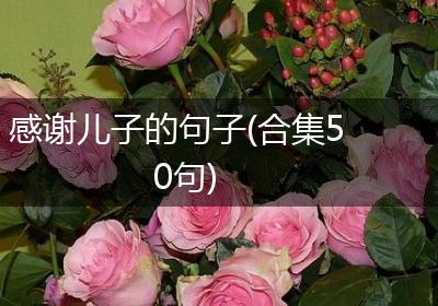 感谢儿子的句子(合集50句)