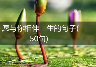 愿与你相伴一生的句子(50句)
