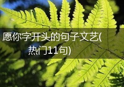 愿你字开头的句子文艺(热门11句)