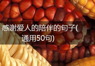 感谢爱人的陪伴的句子(通用50句)