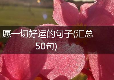 愿一切好运的句子(汇总50句)