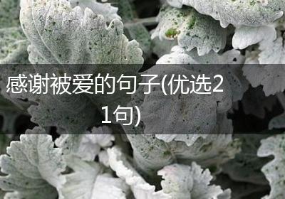 感谢被爱的句子(优选21句)