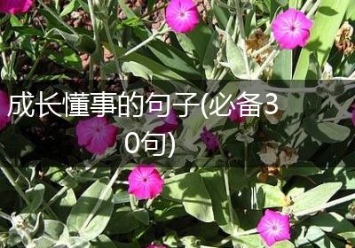 成长懂事的句子(必备30句)