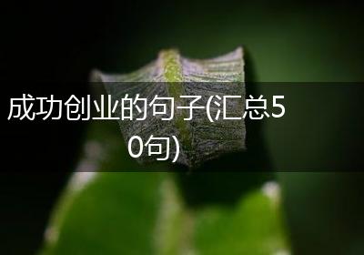成功创业的句子(汇总50句)