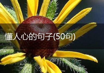 懂人心的句子(50句)