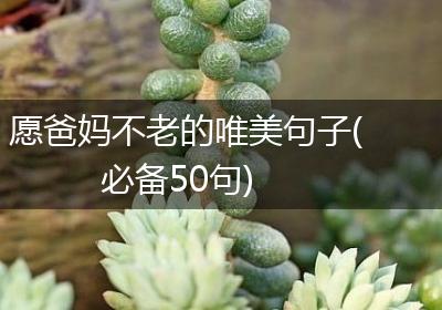 愿爸妈不老的唯美句子(必备50句)