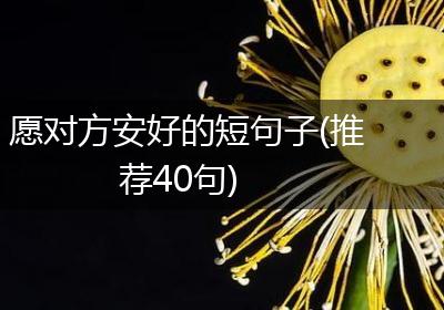 愿对方安好的短句子(推荐40句)