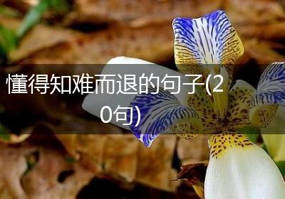 懂得知难而退的句子(20句)