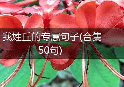 我姓丘的专属句子(合集50句)