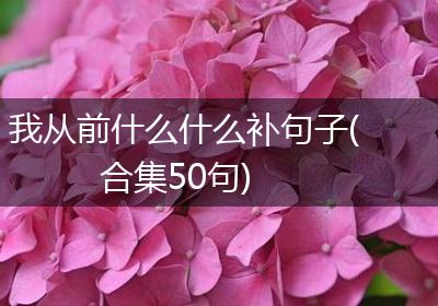 我从前什么什么补句子(合集50句)