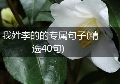 我姓李的的专属句子(精选40句)
