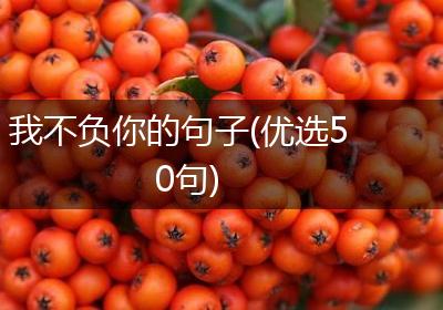 我不负你的句子(优选50句)