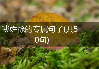 我姓徐的专属句子(共50句)