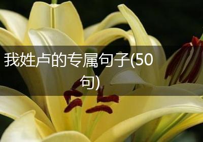 我姓卢的专属句子(50句)