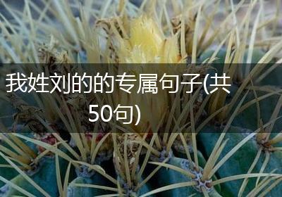 我姓刘的的专属句子(共50句)